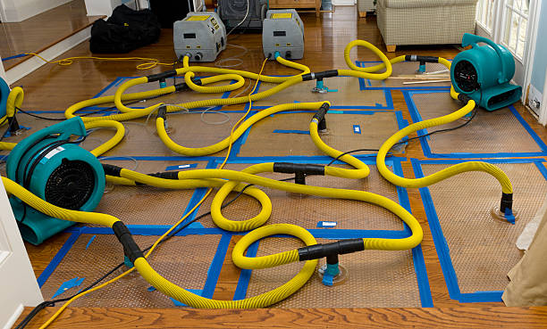 Professional Structural Drying And Dehumidification technician working in North Springfield, PA